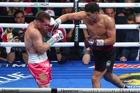 david benavidez fights videos.